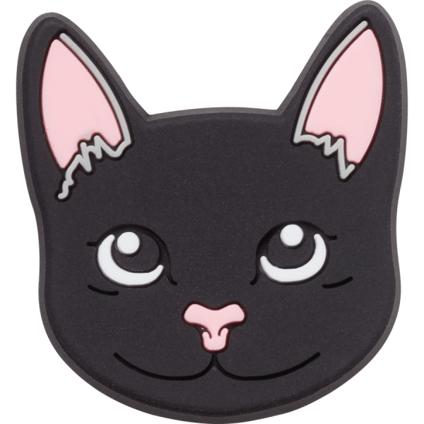 Black Cat