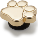 Gold Dog Paw