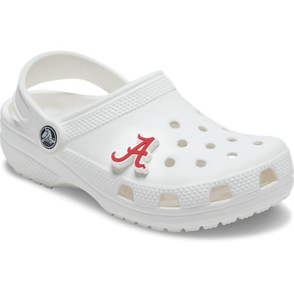 University of Alabama - Image 3