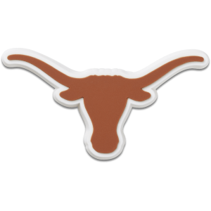 University of Texas