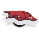 University of Arkansas