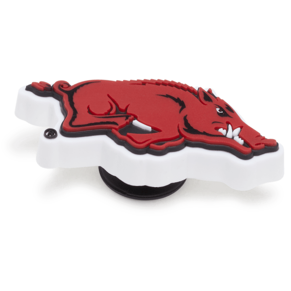University of Arkansas - Image 2