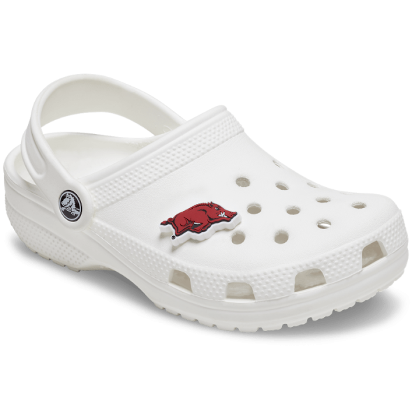 University of Arkansas - Image 3