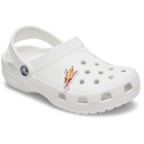 Arizona State University