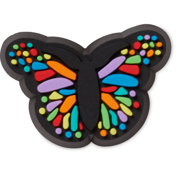 Tiny Colorful Butterfly