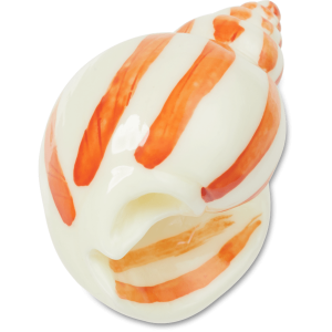 Natural Conch Shell