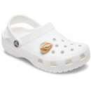Natural Conch Shell