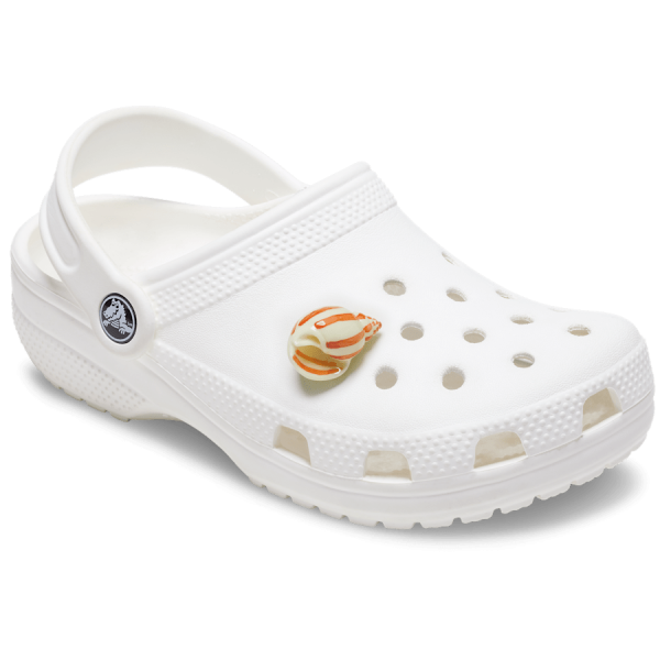 Natural Conch Shell - Image 3