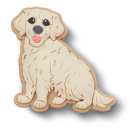 Golden Retriever Puppy