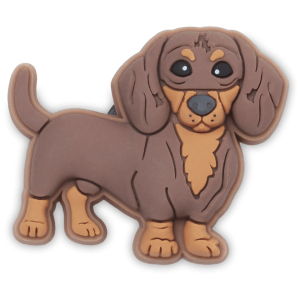 Dachshund Puppy