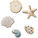 Gold Seashell 5 Pack