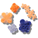 Blooming Ombre Florals 5 Pack
