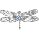 Silver Dragonfly