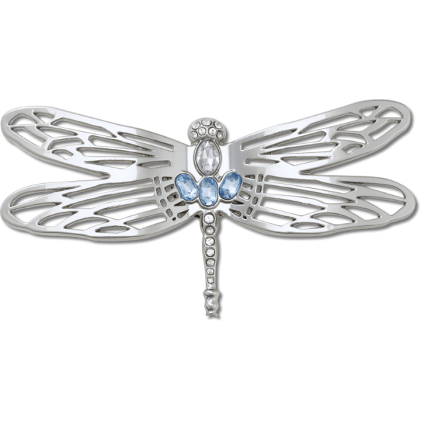 Silver Dragonfly